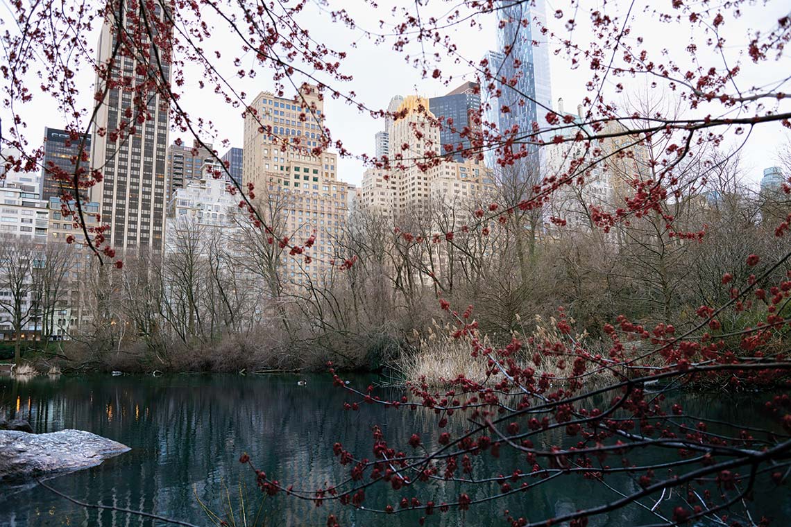 UGG Fall, Central Park