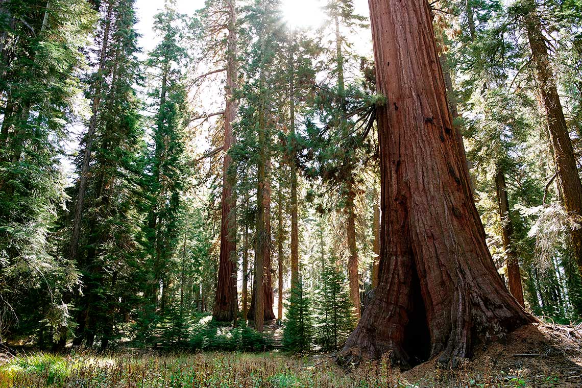 UGG Fall, Yosemite