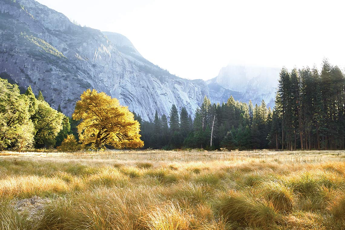 UGG Fall, Yosemite